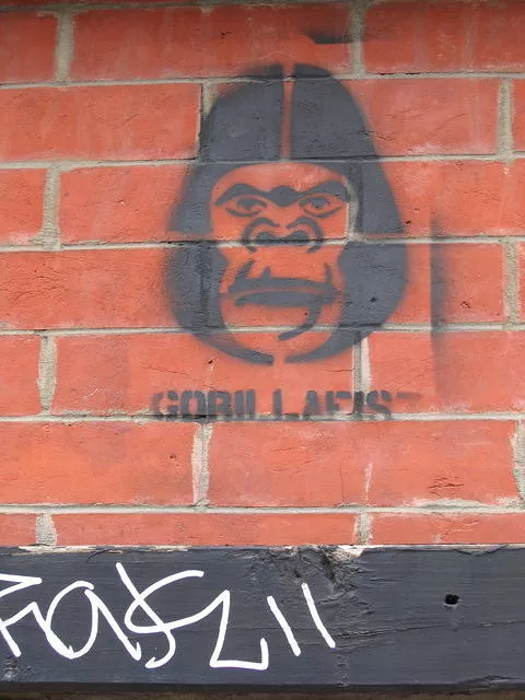 NYC bkln Gorillafis