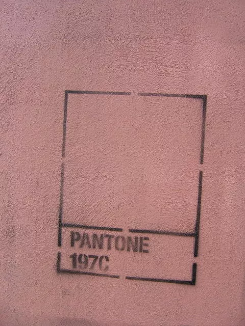 NYC Brooklyn Pantone 197C