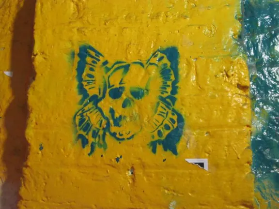 NC Asheville skull butterfly
