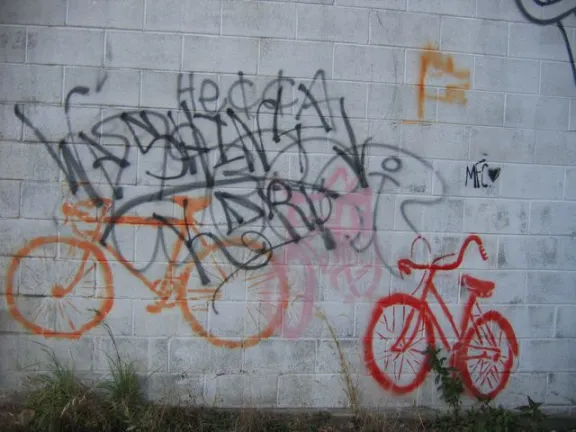 NC Asheville large bicycles