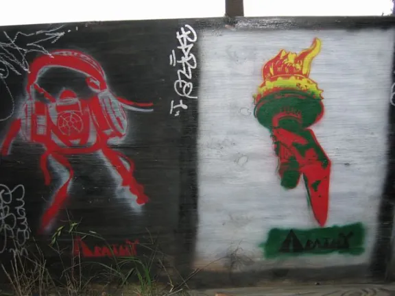NC Asheville helmet and torch