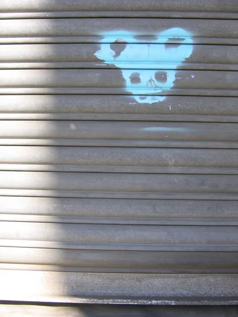 NC Asheville Mickey Mouse skull