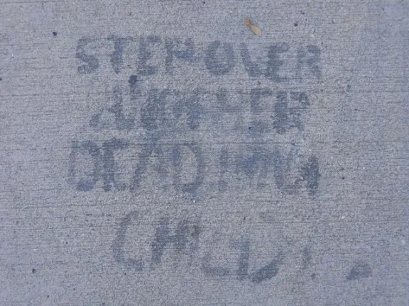 NC Asheville step over