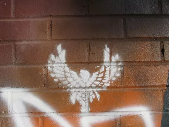 NC Asheville angel