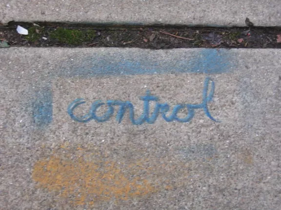 NC Asheville control