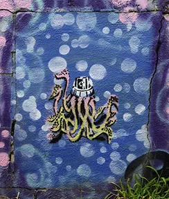 OH Cincinnati Octopus