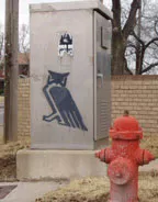 OK Oklahoma City owl