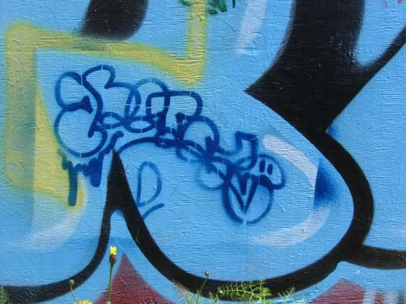 OR Eugene Free Wall graffiti style