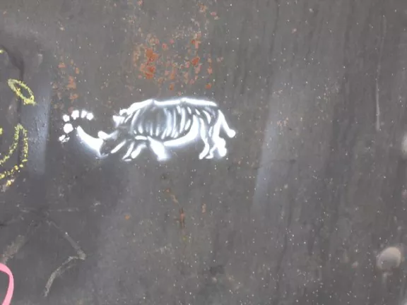 OR Portland Steel Bridge rino