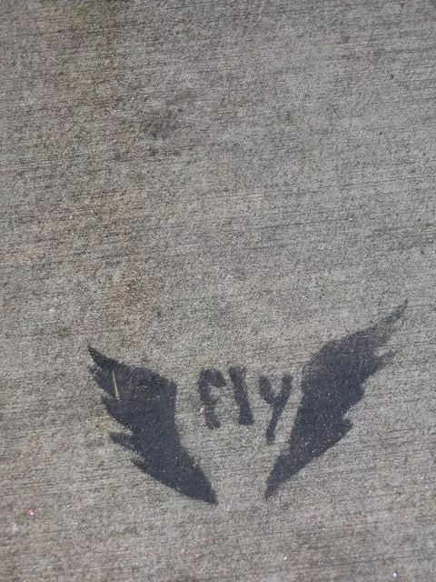 OR Portland fly