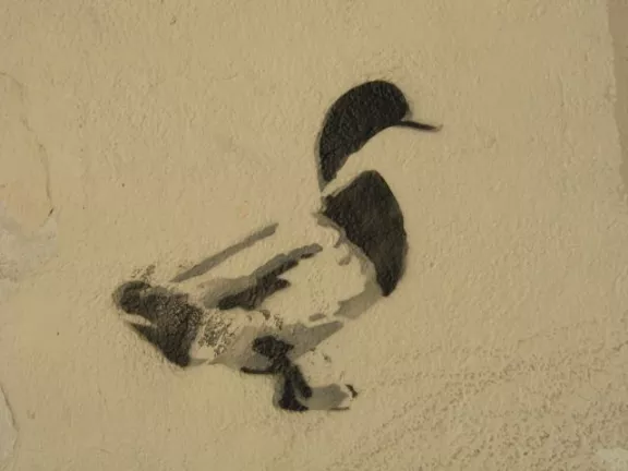 OR Portland SE Duck
