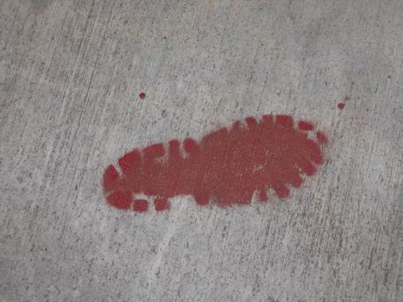 OR Portland Boot Print