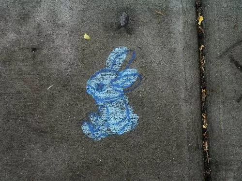 OR Portland Bunny