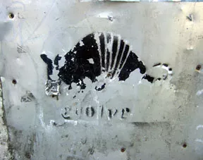 OR Portland Armadillo