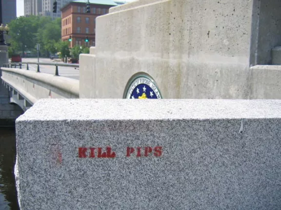 RI Providence Kill Pips