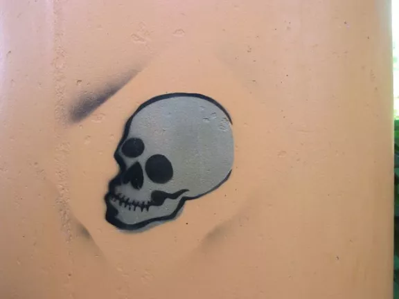 SC Greenville skull