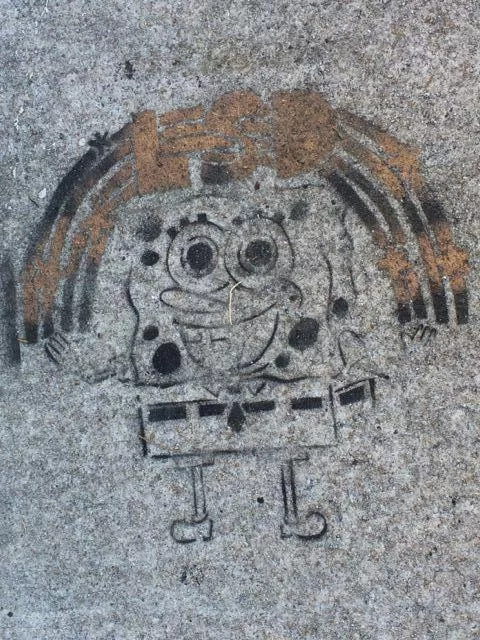 SC Charleston Spongebob LSD