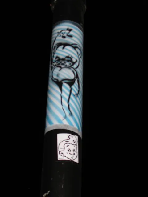 SC Charleston bear sticker