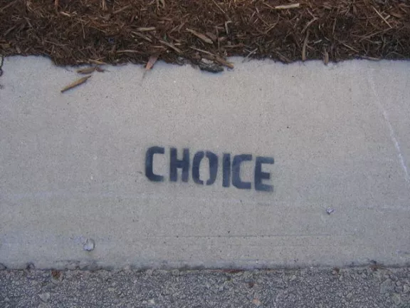 SC Greenville Choice