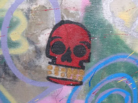 SC Greenville Skull with Gold Teeth