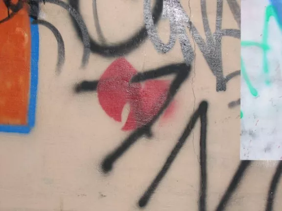 SC Greenville Wu Tang Logo