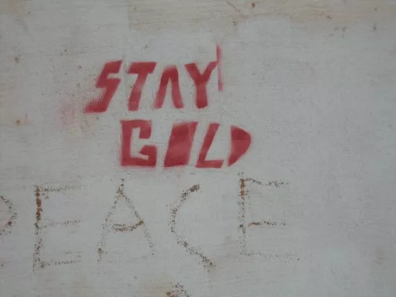 SC Greenville stay gold