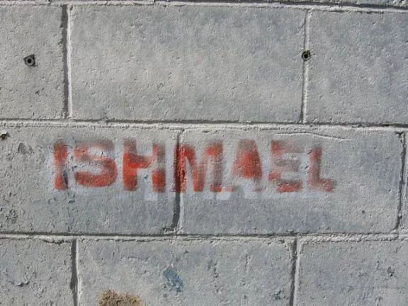 SC Spartanburg Ishmael