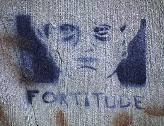 TN Knoxville Fortitude