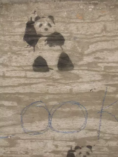 TN Knoxville Panda
