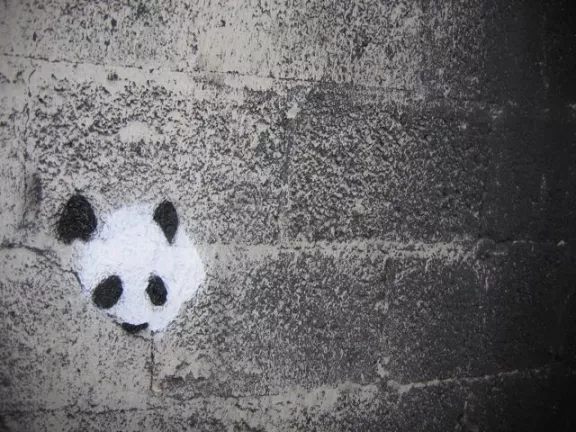 TN Knoxville Panda Head