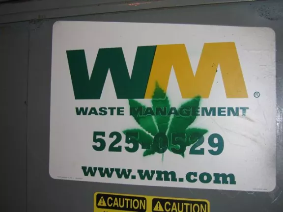 TN Knoxville cannabis leaf
