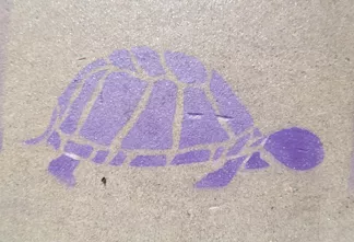 UT Salt Lake City Turtle EHole