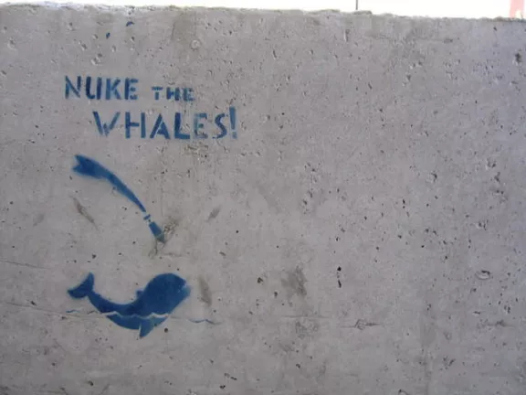VT Montpelier Nuke Whales