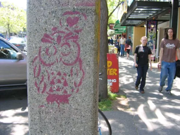 WA Bellingham Owl