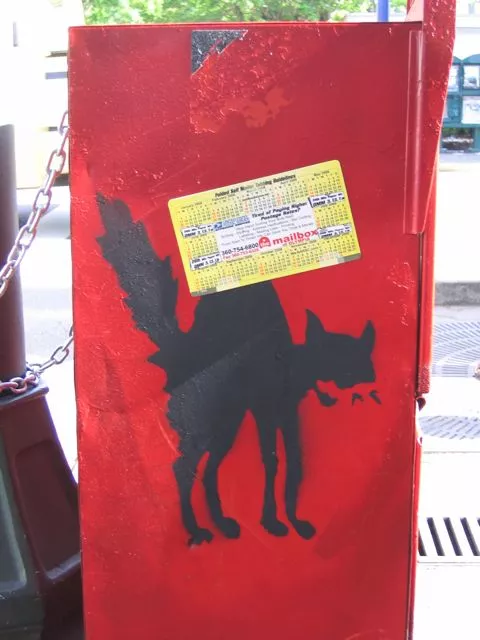 WA Olympia IWW cat