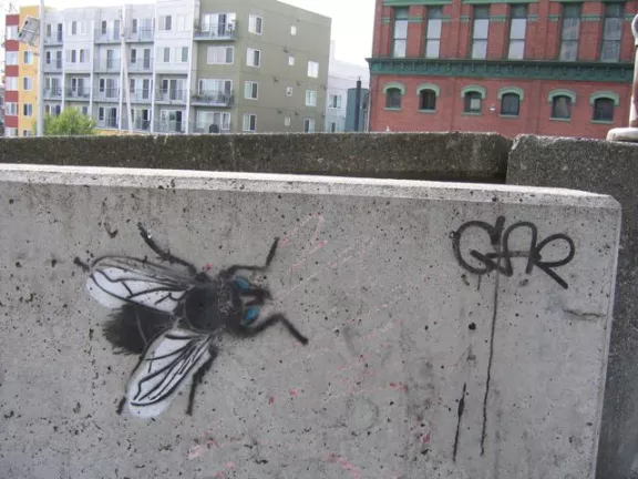 WA Seattle Stencil Jam fly