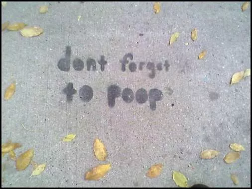 WI Madison Don't Forget to Poop