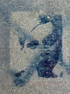 WI Madison Face 22