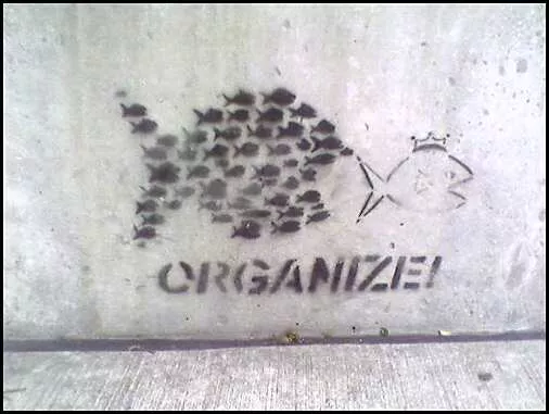 WI Madison Organize!