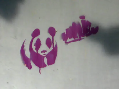 WI Madison Panda
