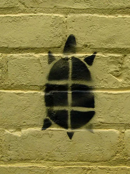 WI Madison Turtle