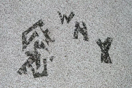 WI Madison Why02