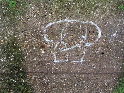 WI Madison elephant 02