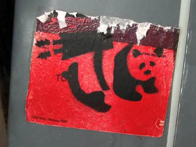 WI Madison rocket panda