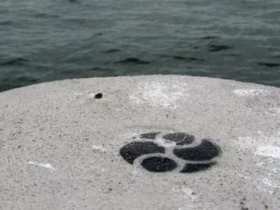 WI Madison symbol