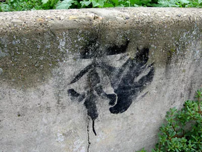 WI Madison wolf